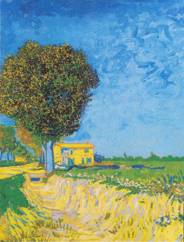 Vincent Van Gogh A Lane near Arles oil painting picture